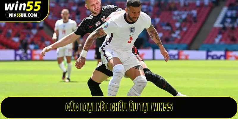 Các loại kèo châu Âu tại Win55