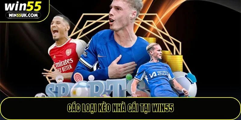 Các loại kèo nhà cái tại Win55