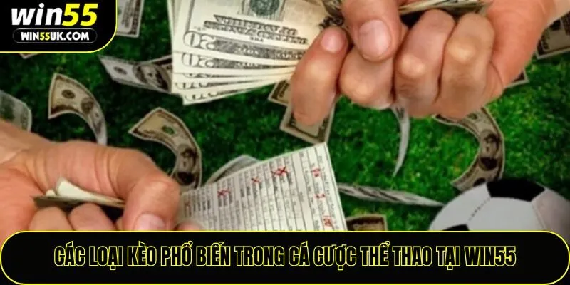 Các loại kèo phổ biến trong cá cược thể thao tại Win55