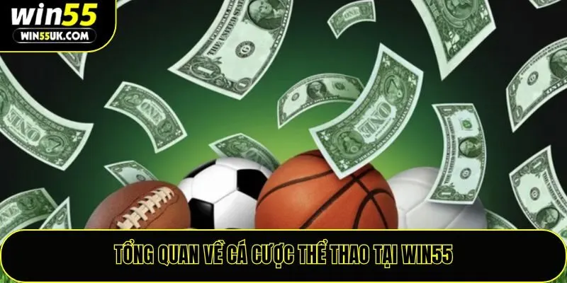 Tổng quan về cá cược thể thao tại Win55