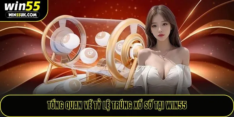 Tổng quan về tỷ lệ trúng xổ số tại Win55