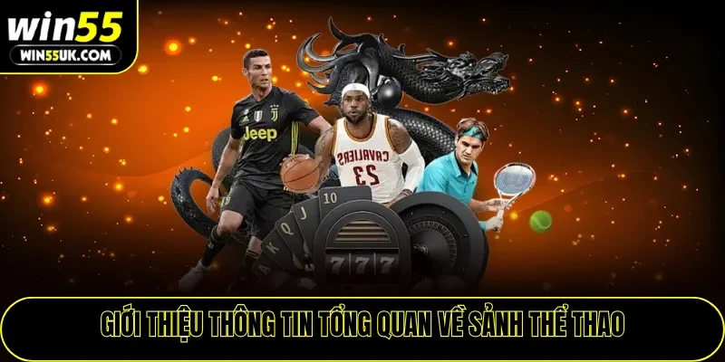 Giới thiệu thông tin tổng quan về sảnh thể thao